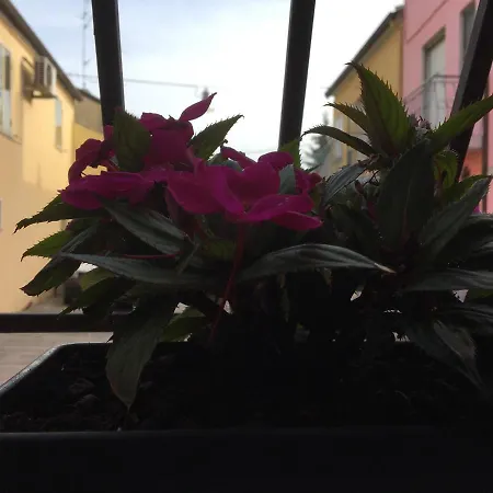 Da Mattia Guest house 3*