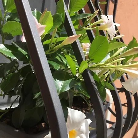 Guest house Da Mattia Comacchio